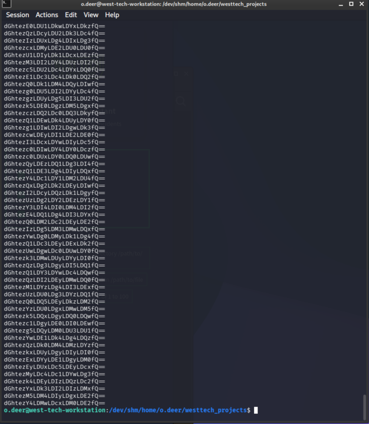 thm_flags.txt contents